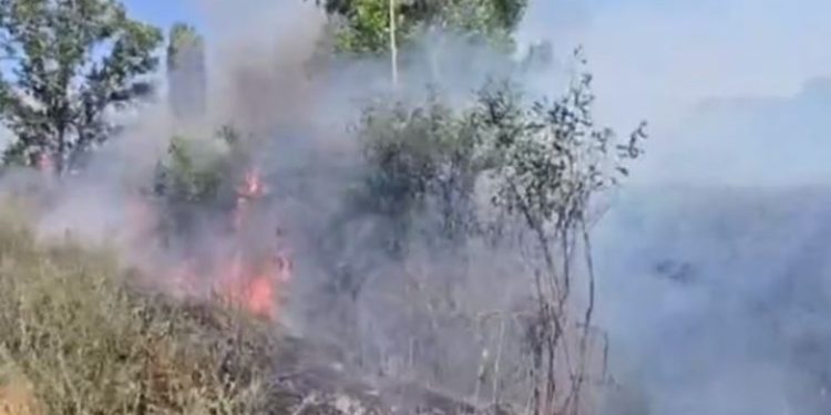 Zjarr në Gjirokastër