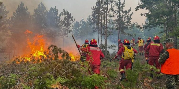 Zjarret, ende aktive vatra në Finiq
