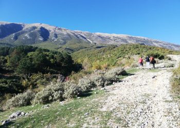Hapi rrugë pa leje në fshatin Badlonjë të Përmetit, policia e procedon penalisht