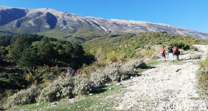 Hapi rrugë pa leje në fshatin Badlonjë të Përmetit, policia e procedon penalisht