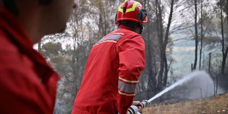 Zjarret, Vengu në Mallakastër: Po ndërhyjmë nga toka dhe ajri për izolimin e flakëve