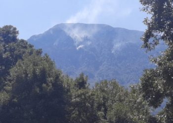 Shqipëria në flakë, zjarri rrezikon edhe parkun Peshtan-Zhej