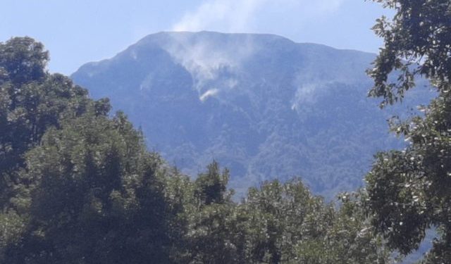 Shqipëria në flakë, zjarri rrezikon edhe parkun Peshtan-Zhej