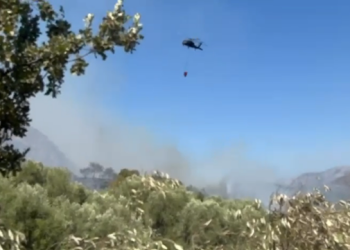 Zjarr në Syrin e Kaltër, digjen 40 koshere me bletë