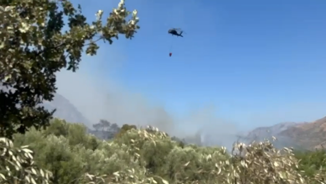 Zjarr në Syrin e Kaltër, digjen 40 koshere me bletë