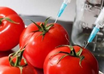 Kodi i ri Penal/ 4 vite burg për tregtimin e ushqimeve të dëmshme