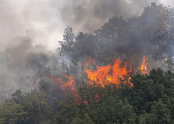 Zjarr në Finiq, evakuohen disa banorë