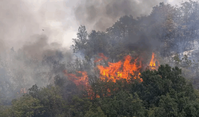 Zjarr në Finiq, evakuohen disa banorë