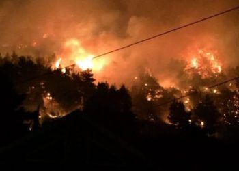 Situatë kritike/ Zjarri rrezikon banesat dhe azilin e të moshuarve në Poliçan