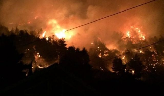 Situatë kritike/ Zjarri rrezikon banesat dhe azilin e të moshuarve në Poliçan