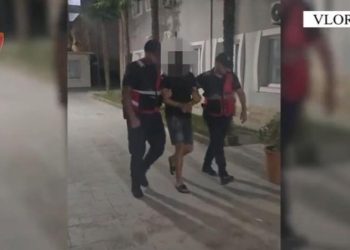 Plagosi dy persona me thikë në Palasë, arrestohet pas një viti 35-vjeçari nga Orikumi
