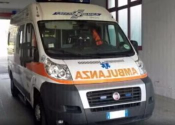 U kafshua nga qeni i familjes, i mituri përfundon në spital