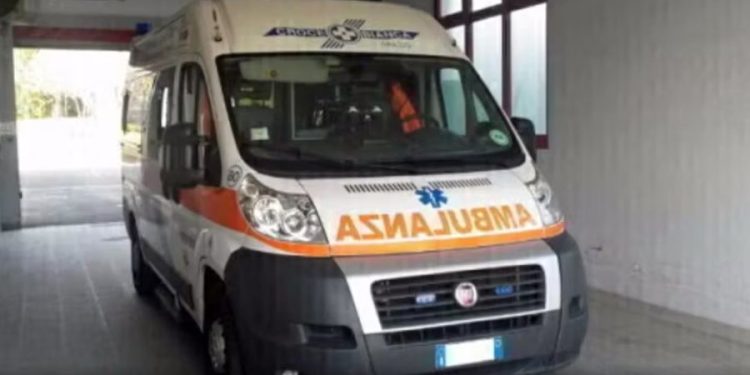 U kafshua nga qeni i familjes, i mituri përfundon në spital