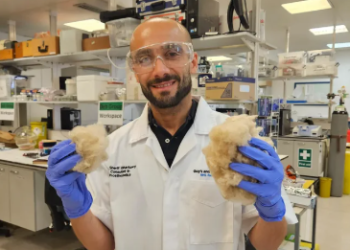 Pasta e dhëmbëve e përbërë nga flokët, së shpejti në treg sipas shkencëtarëve