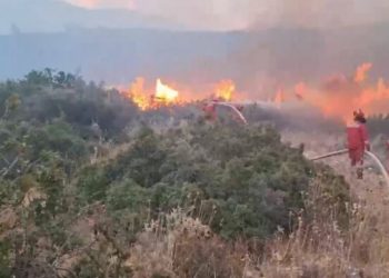 Zjarri në Skërficë, nis operacioni për shuarjen e flakëve