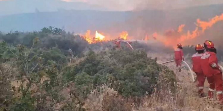 Zjarri në Skërficë, nis operacioni për shuarjen e flakëve