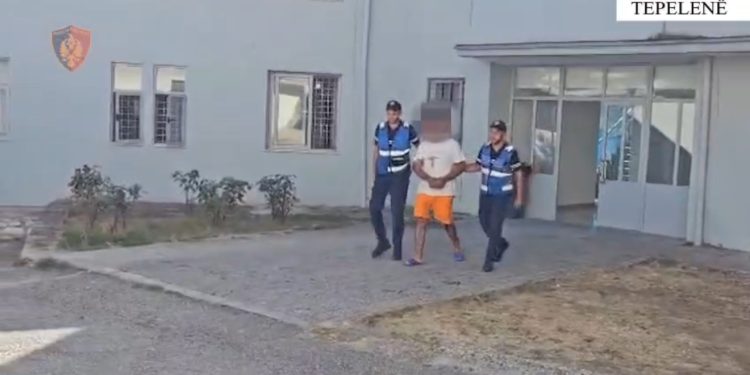 Dogji 5 stane në dy fshatra, arrestohet piromani nga Tepelena