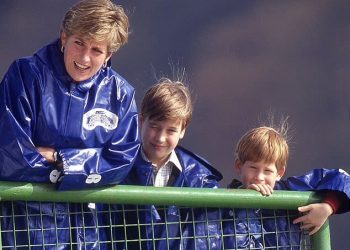 Pse djemtë e Princeshës Diana nuk do trashëgojnë pronën familjare?