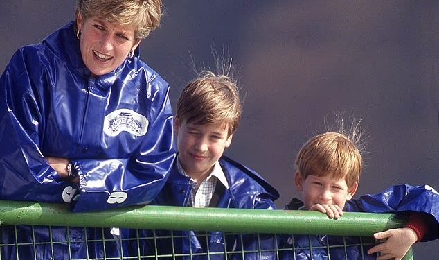 Pse djemtë e Princeshës Diana nuk do trashëgojnë pronën familjare?