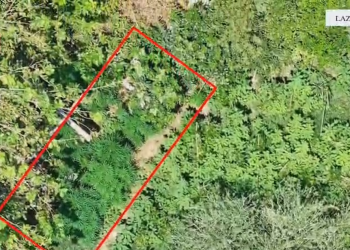 Droni zbulon tjetër shtëpi me kanabis në Lazarat, arrestohet një person (VIDEO)