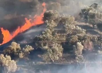 Kaos nga zjarri tek Syri i Kaltër, evakuohen turistët