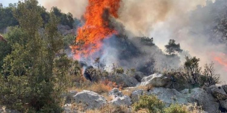 Jugu nuk gjen qetësi, vatër e re zjarri në Lukovë, rrezikon kisha dhe banesat