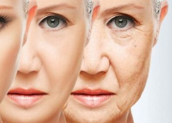 Shkenca zbulon kur fillon plakja e vërtetë