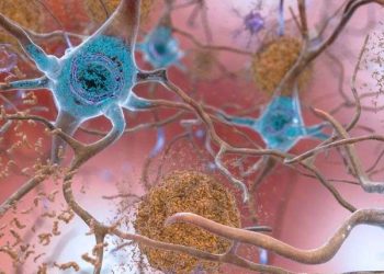 Studimi i Harvardit arrin të zhdukë simptomat e Alzheimerit për herë të parë tek minjtë – Balkanweb.com – News24