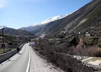 Vjedh paratë në një objekt kulti në Salari, policia ndalon hajdutin nga Memaliaj