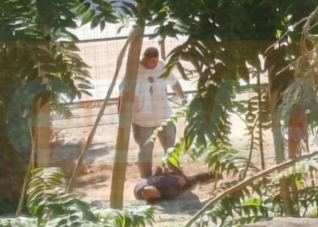 Vrau gruan në sy të fëmijëve, momenti i arrestimit të shqiptarit në Volos: S’jam penduar, ajo e meritonte