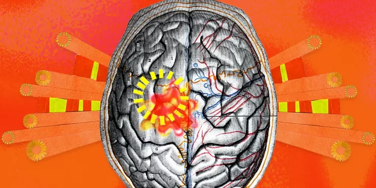 Bota po nxehet, bashkë me të edhe truri ynë: Çfarë po na shkaktojnë ndryshimet klimatike