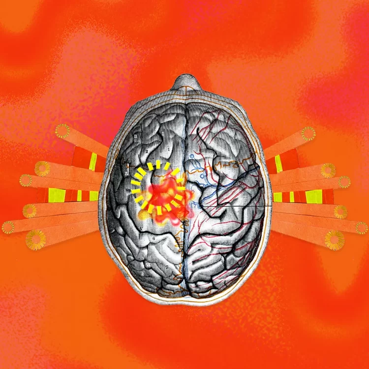 Bota po nxehet, bashkë me të edhe truri ynë: Çfarë po na shkaktojnë ndryshimet klimatike