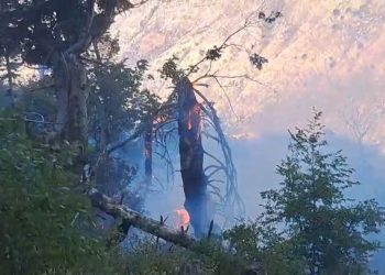 Gjirokastër, izolohet zjarri në Skërficë