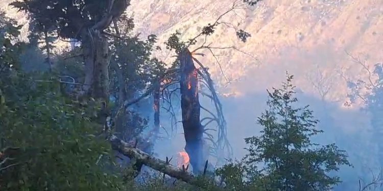 Gjirokastër, izolohet zjarri në Skërficë