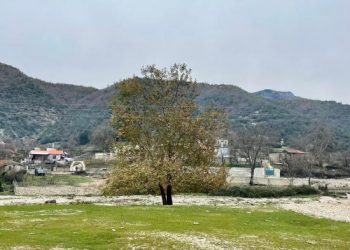 Dhunoi nënën e tij, nën hetim 60-vjeçari nga Fushëbardha