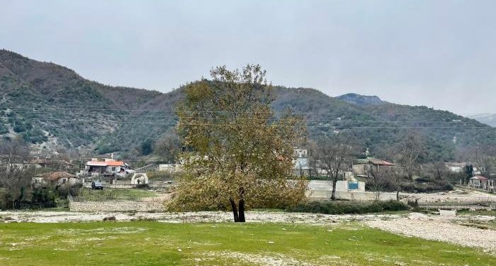 Dhunoi nënën e tij, nën hetim 60-vjeçari nga Fushëbardha