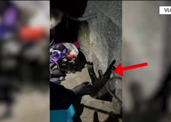 Mbanin në banesë armë zjarri dhe fishekë, arrestohen babë e bir