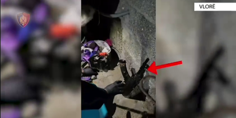 Mbanin në banesë armë zjarri dhe fishekë, arrestohen babë e bir