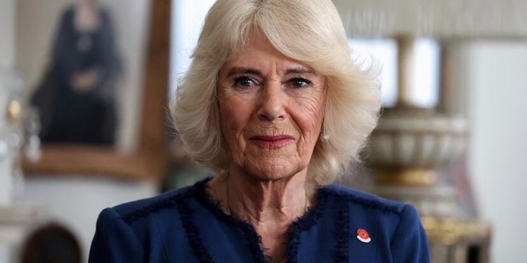 Historia e fshehur e Camillës: kur një takë u bë armë mbrojtjeje