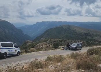 Doli për gjah me ortakun në Tepelenë, çfarë fshihet pas vrasjes së biznesmenit italian