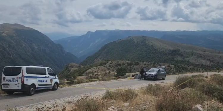 Doli për gjah me ortakun në Tepelenë, çfarë fshihet pas vrasjes së biznesmenit italian