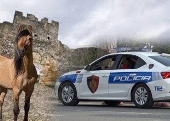 Krim makabër në Berat/ 42-vjeçari vritet pas konfliktit për një foto me kal: U godit me thikë në sy të fëmijëve, gruas dhe nënës