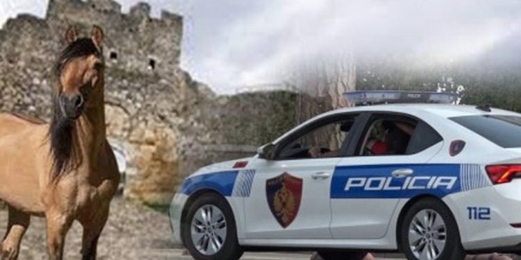Krim makabër në Berat/ 42-vjeçari vritet pas konfliktit për një foto me kal: U godit me thikë në sy të fëmijëve, gruas dhe nënës