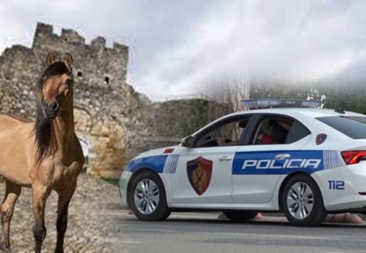 Krim makabër në Berat/ 42-vjeçari vritet pas konfliktit për një foto me kal: U godit me thikë në sy të fëmijëve, gruas dhe nënës