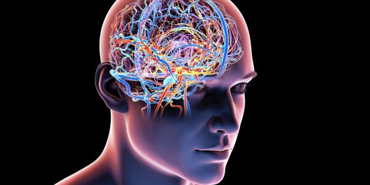 Studimi: Mosha më e zgjuar në jetë nuk është ajo që keni ditur deri tani