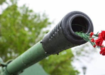 Sot, Dita Ndërkombëtare Kundër Dhunës