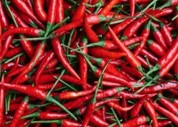 Bllokimi i specave me pesticide të ndaluara nga Kroacia, AKU kujtohet për kontrolle