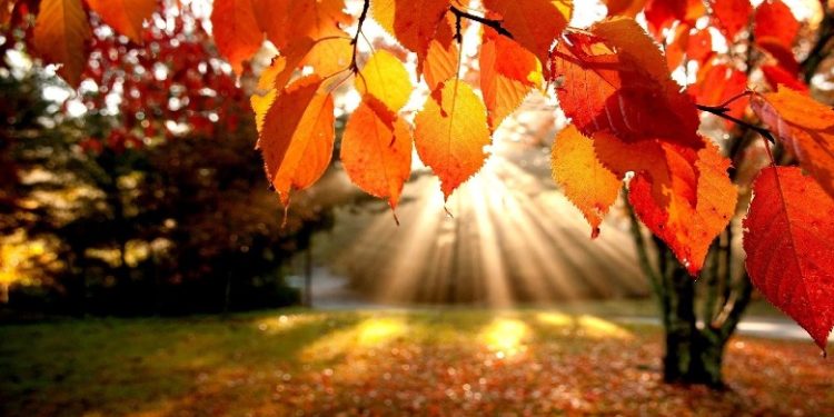 Efekti i vjeshtës/ Pse mungesa e dritës ndryshon humorin tuaj dhe si të rifitoni energjinë