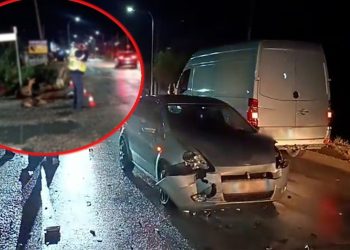 Aksident në Lushnje/ Makina merr përpara bagëtitë