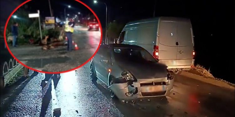 Aksident në Lushnje/ Makina merr përpara bagëtitë